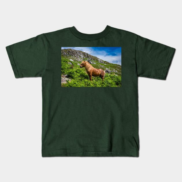 Welsh Mountain Pony Kids T-Shirt by Adrian Evans Photography